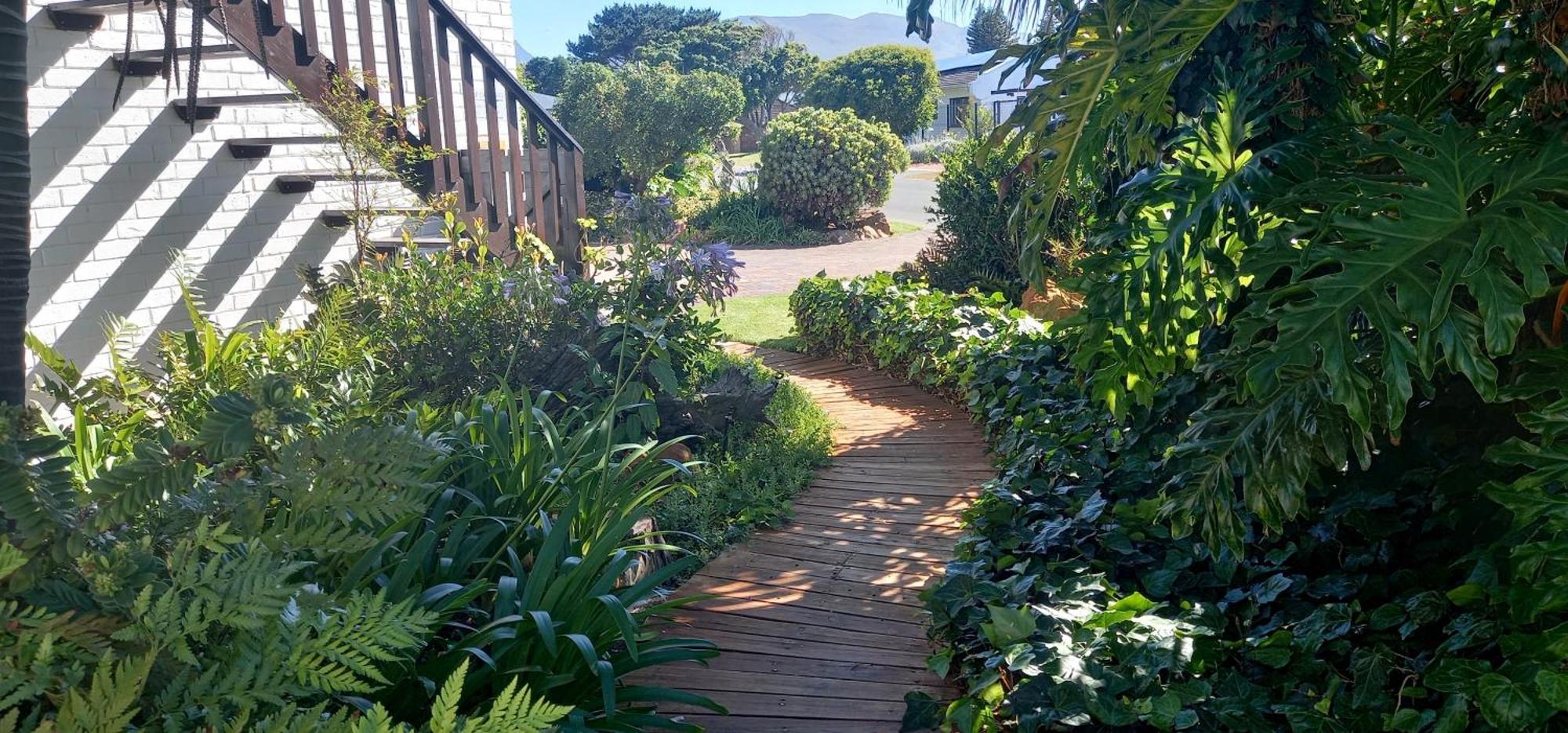 Braeview Guest House Hermanus Exterior photo