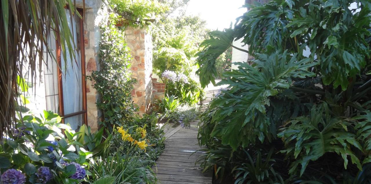Braeview Guest House Hermanus Exterior photo