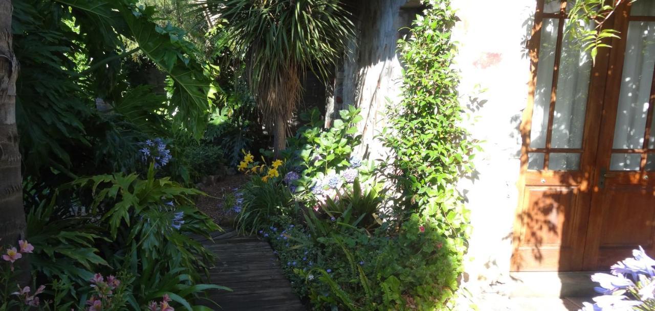 Braeview Guest House Hermanus Exterior photo